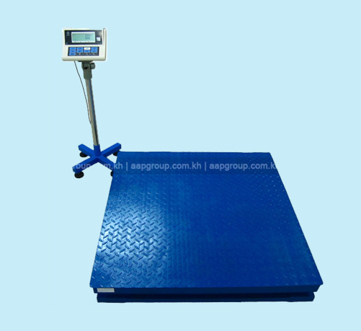 Floor Scale